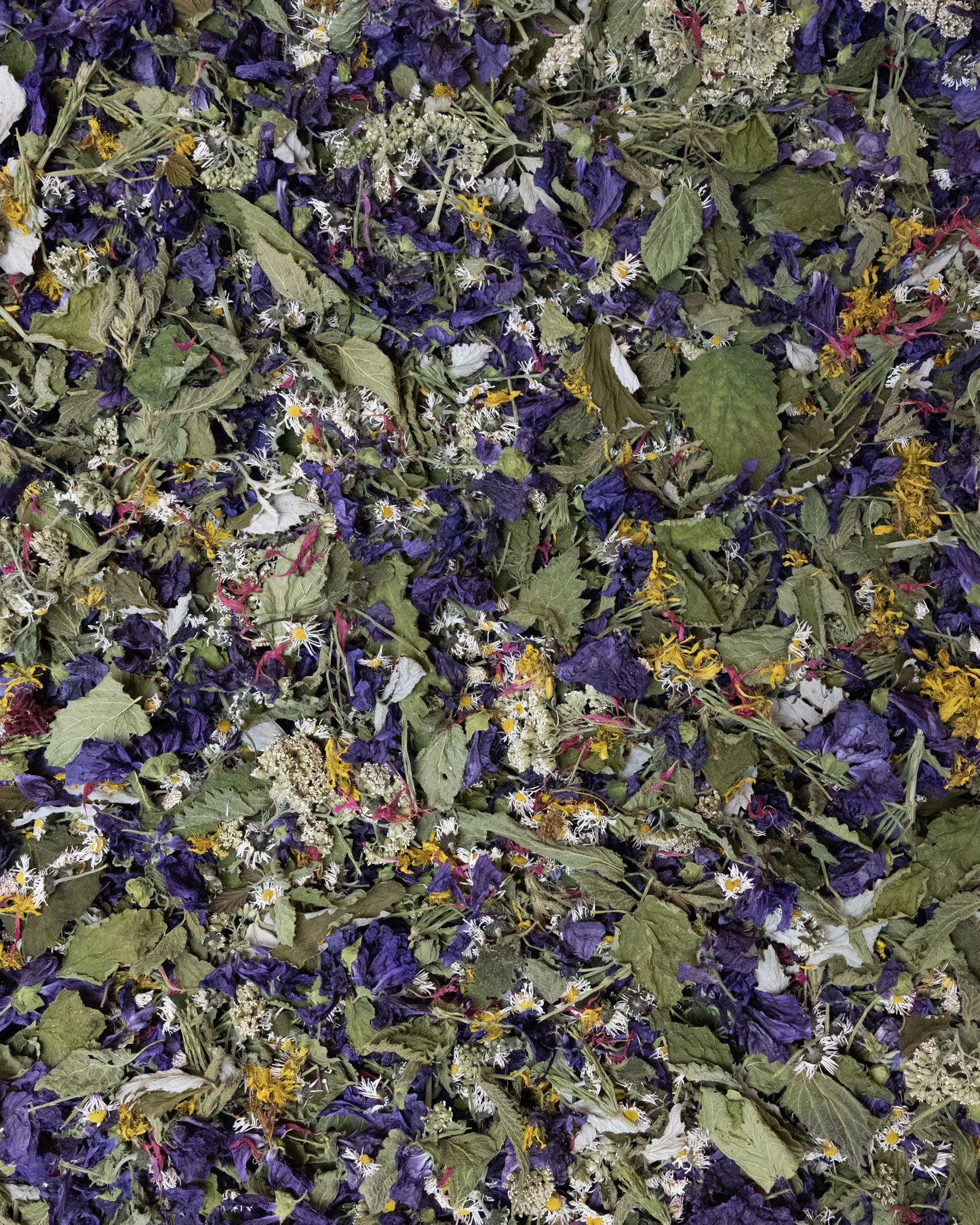 Bio-Alpenkräutertee Regenbogen