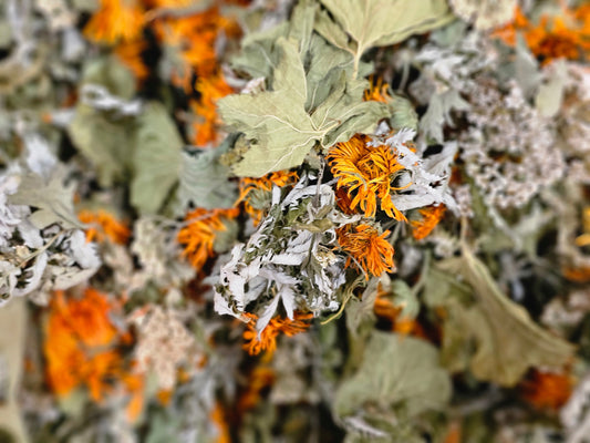 Ich bin doch nicht krank