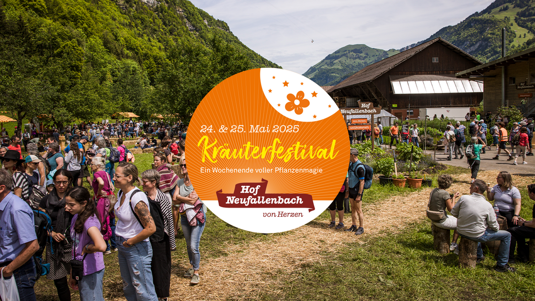 24. & 25. Mai 2025: Sei dabei beim 2. Kräuterfestival im Engelbergertal!