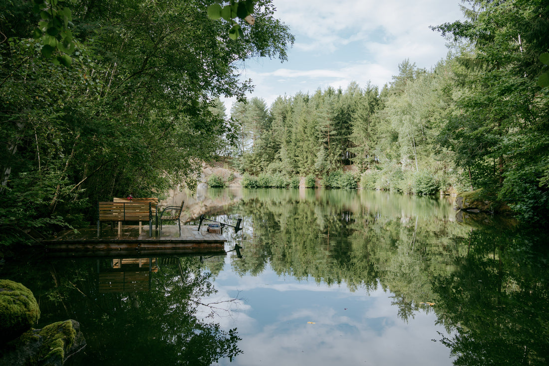 Der kleine Funke Sehnsucht - Pflanzenkraftreise ins Waldviertel