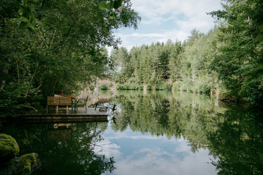 Der kleine Funke Sehnsucht - Pflanzenkraftreise ins Waldviertel